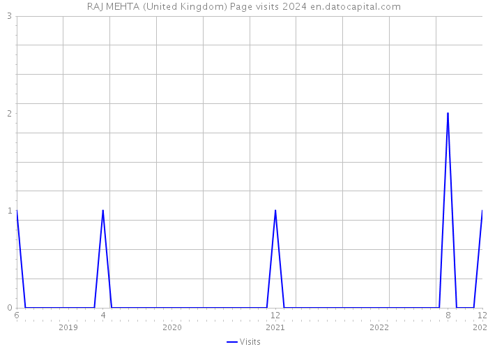 RAJ MEHTA (United Kingdom) Page visits 2024 