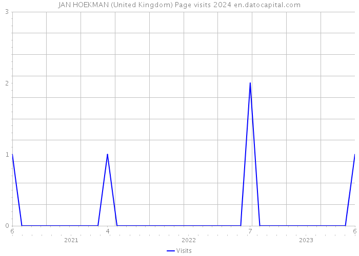 JAN HOEKMAN (United Kingdom) Page visits 2024 
