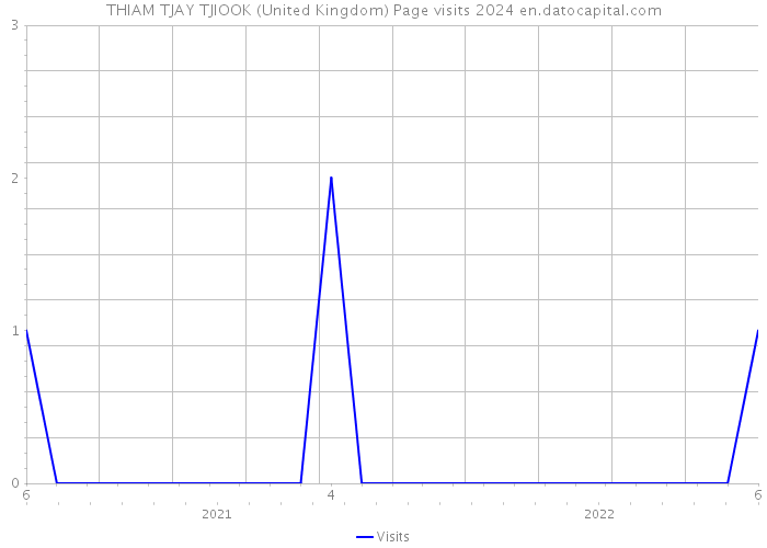 THIAM TJAY TJIOOK (United Kingdom) Page visits 2024 