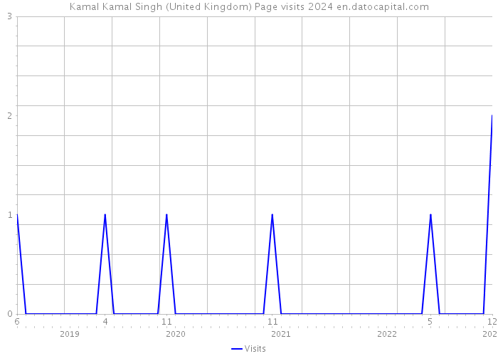 Kamal Kamal Singh (United Kingdom) Page visits 2024 