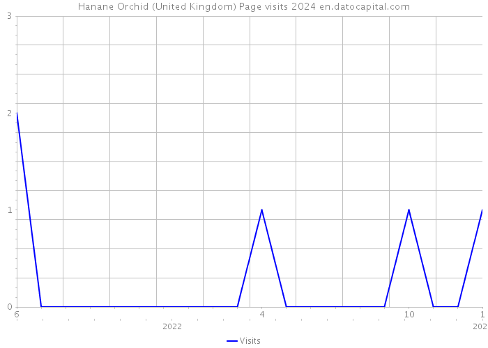 Hanane Orchid (United Kingdom) Page visits 2024 