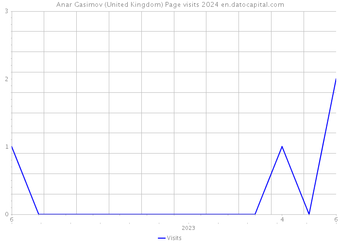 Anar Gasimov (United Kingdom) Page visits 2024 