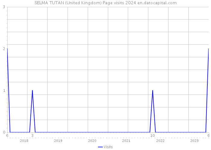 SELMA TUTAN (United Kingdom) Page visits 2024 