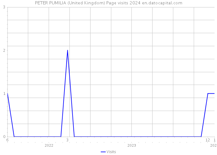 PETER PUMILIA (United Kingdom) Page visits 2024 