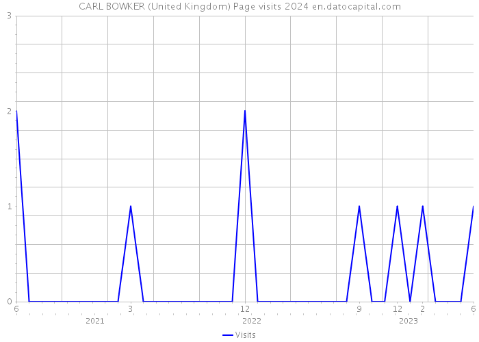 CARL BOWKER (United Kingdom) Page visits 2024 