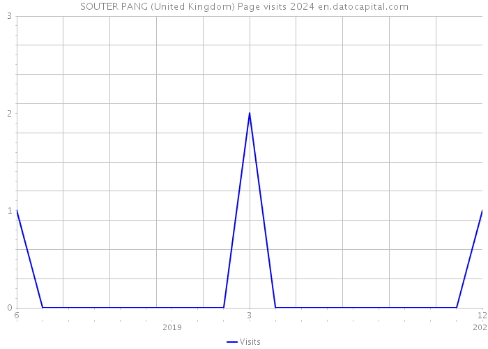 SOUTER PANG (United Kingdom) Page visits 2024 