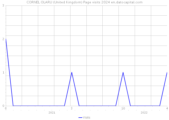 CORNEL OLARU (United Kingdom) Page visits 2024 