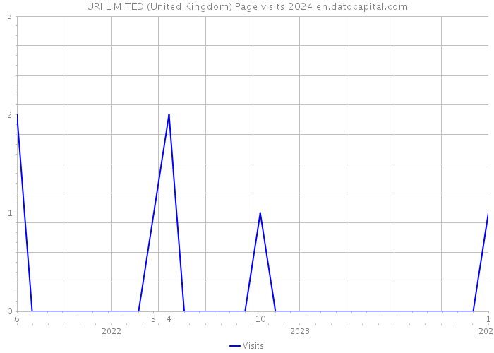 URI LIMITED (United Kingdom) Page visits 2024 