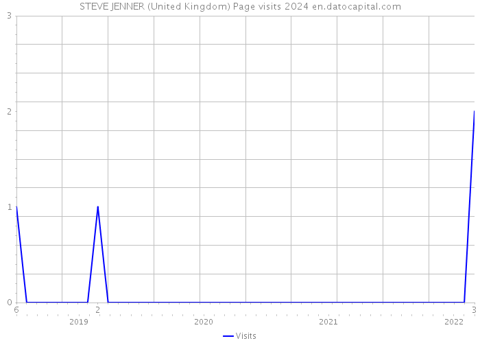 STEVE JENNER (United Kingdom) Page visits 2024 