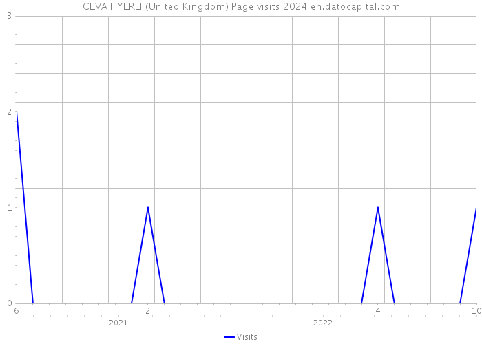 CEVAT YERLI (United Kingdom) Page visits 2024 