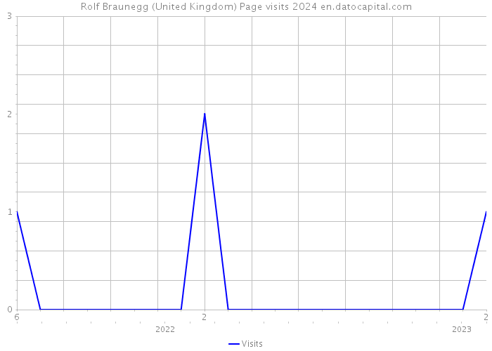 Rolf Braunegg (United Kingdom) Page visits 2024 