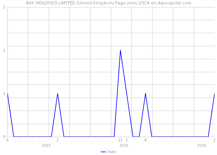 BAK HOLDINGS LIMITED (United Kingdom) Page visits 2024 