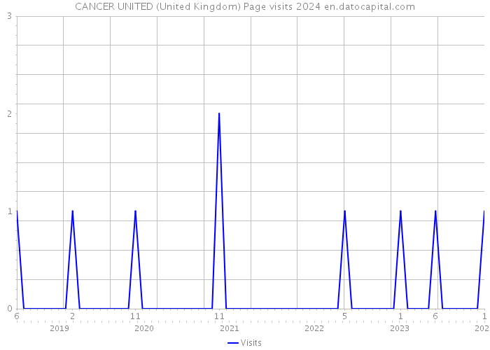 CANCER UNITED (United Kingdom) Page visits 2024 