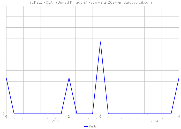 YUKSEL POLAT (United Kingdom) Page visits 2024 