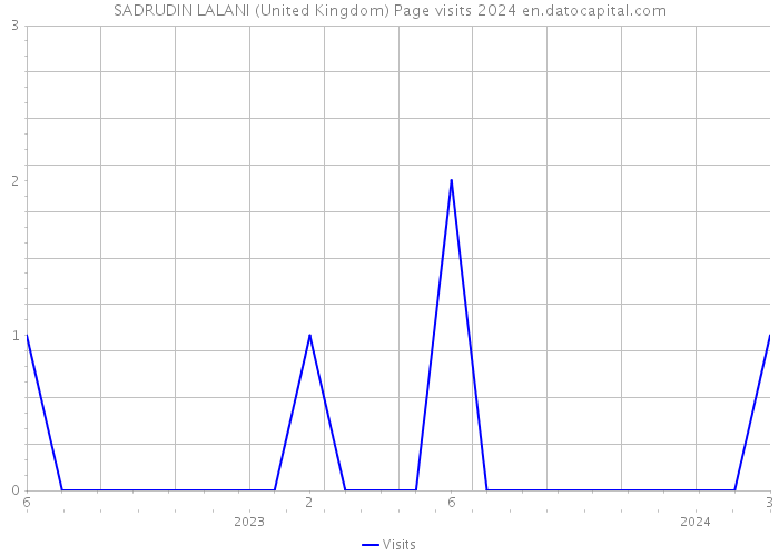SADRUDIN LALANI (United Kingdom) Page visits 2024 