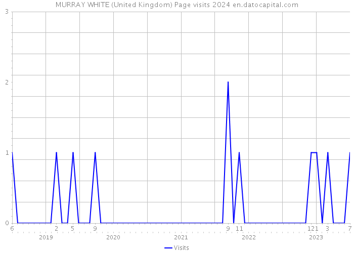 MURRAY WHITE (United Kingdom) Page visits 2024 