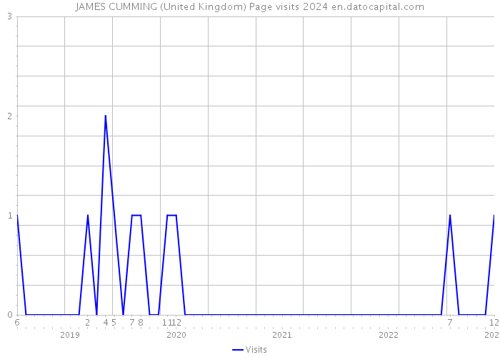 JAMES CUMMING (United Kingdom) Page visits 2024 