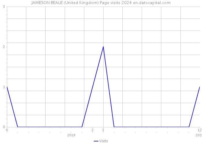 JAMESON BEALE (United Kingdom) Page visits 2024 