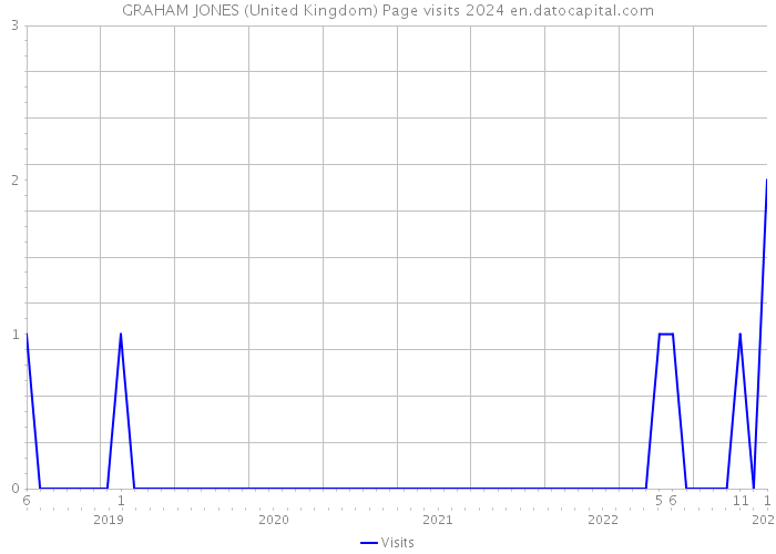 GRAHAM JONES (United Kingdom) Page visits 2024 