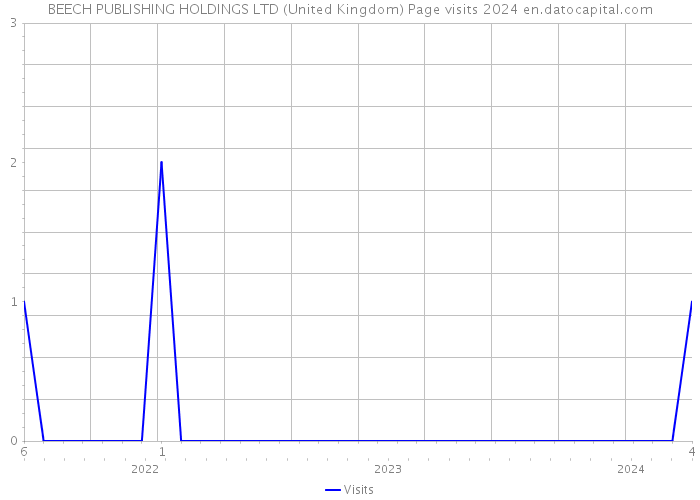 BEECH PUBLISHING HOLDINGS LTD (United Kingdom) Page visits 2024 