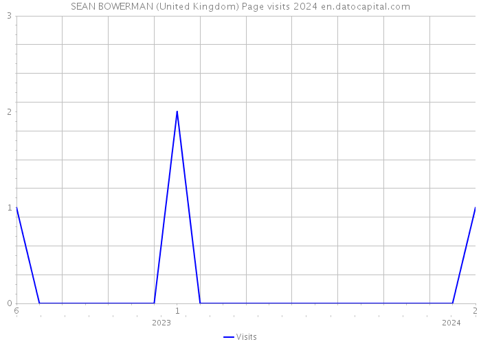 SEAN BOWERMAN (United Kingdom) Page visits 2024 