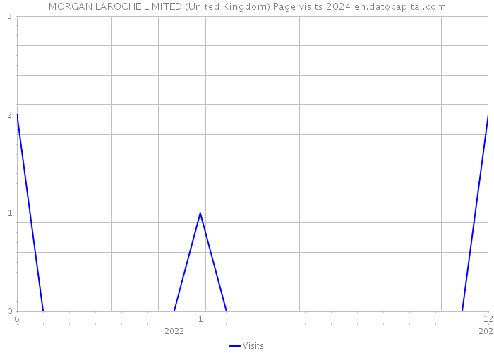 MORGAN LAROCHE LIMITED (United Kingdom) Page visits 2024 