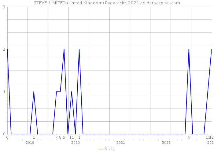 STEVE, LIMITED (United Kingdom) Page visits 2024 