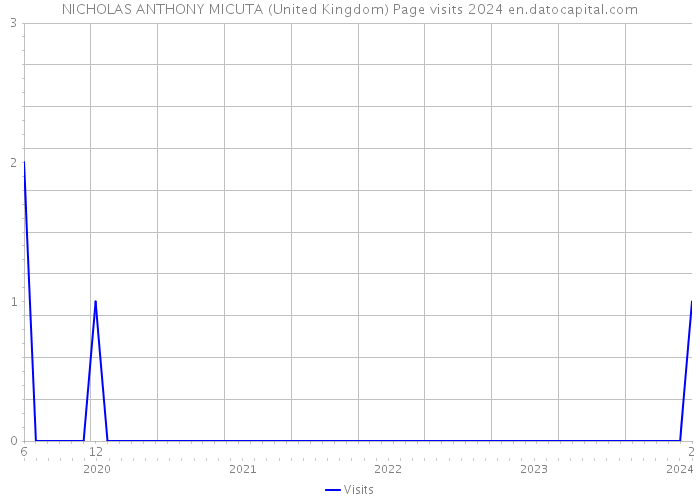 NICHOLAS ANTHONY MICUTA (United Kingdom) Page visits 2024 