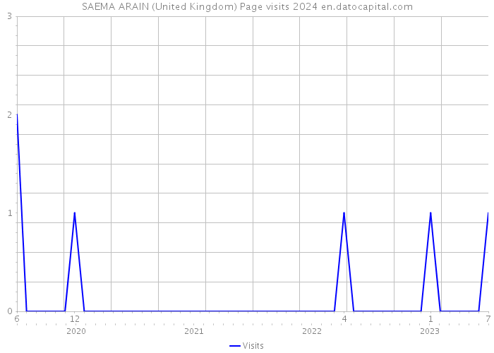 SAEMA ARAIN (United Kingdom) Page visits 2024 