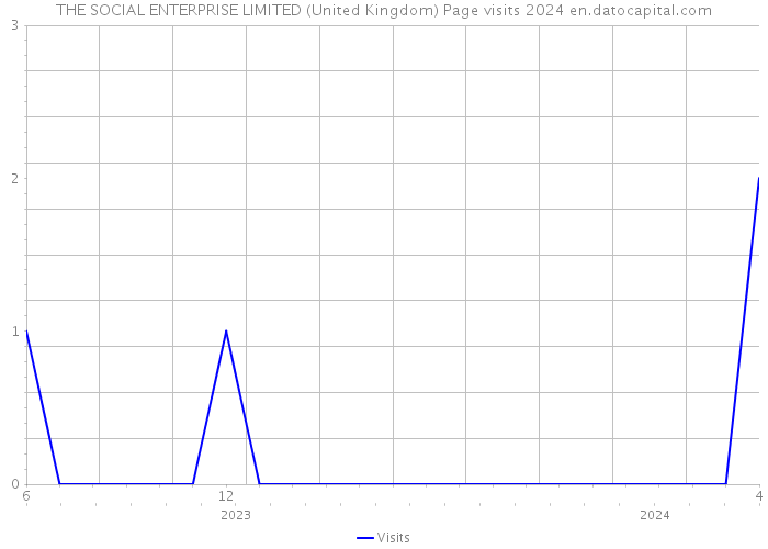 THE SOCIAL ENTERPRISE LIMITED (United Kingdom) Page visits 2024 