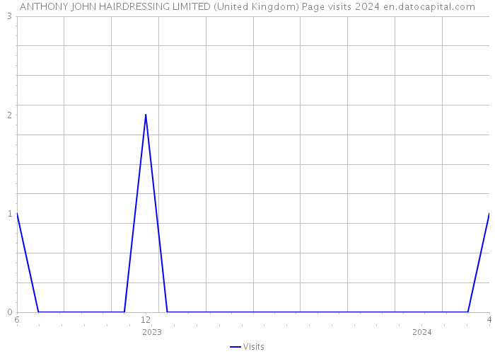 ANTHONY JOHN HAIRDRESSING LIMITED (United Kingdom) Page visits 2024 