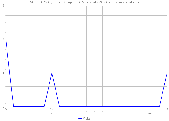 RAJIV BAPNA (United Kingdom) Page visits 2024 