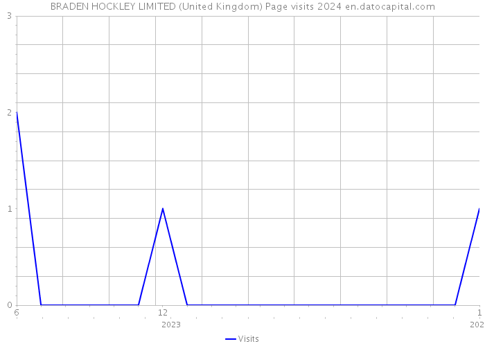 BRADEN HOCKLEY LIMITED (United Kingdom) Page visits 2024 