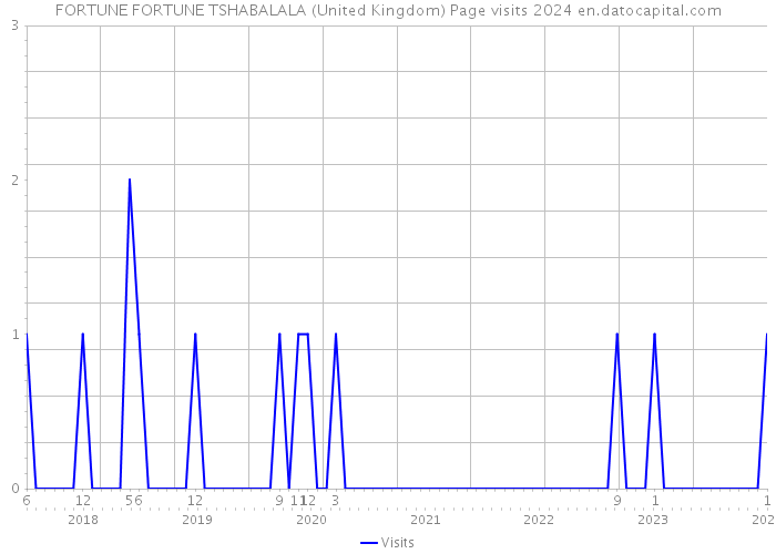 FORTUNE FORTUNE TSHABALALA (United Kingdom) Page visits 2024 