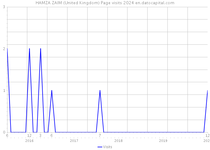 HAMZA ZAIM (United Kingdom) Page visits 2024 