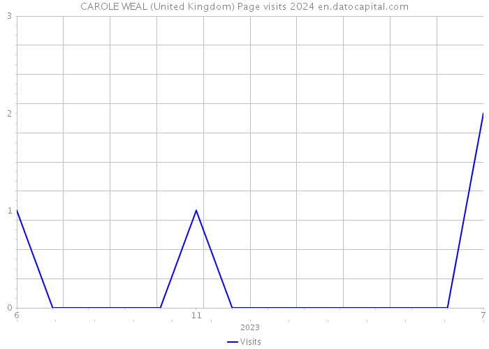 CAROLE WEAL (United Kingdom) Page visits 2024 