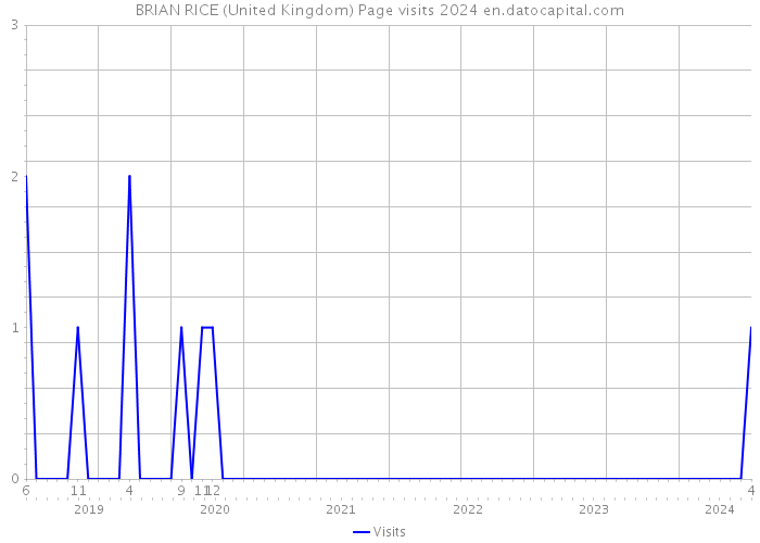 BRIAN RICE (United Kingdom) Page visits 2024 