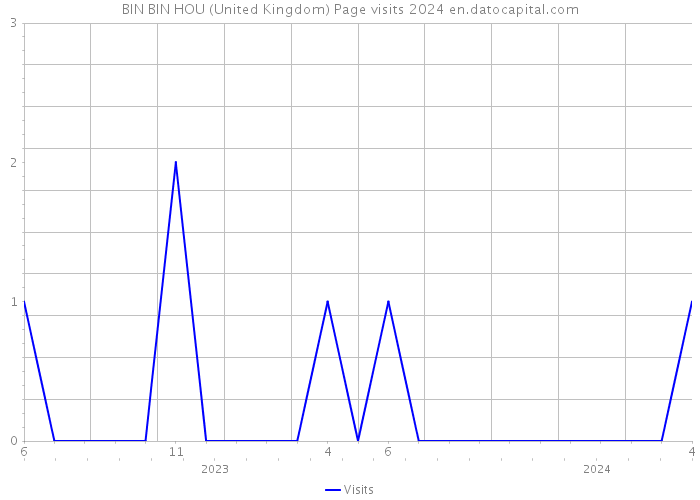 BIN BIN HOU (United Kingdom) Page visits 2024 
