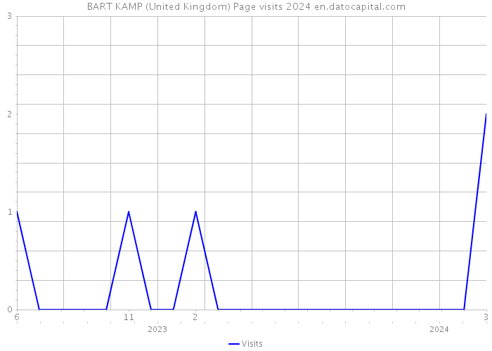 BART KAMP (United Kingdom) Page visits 2024 