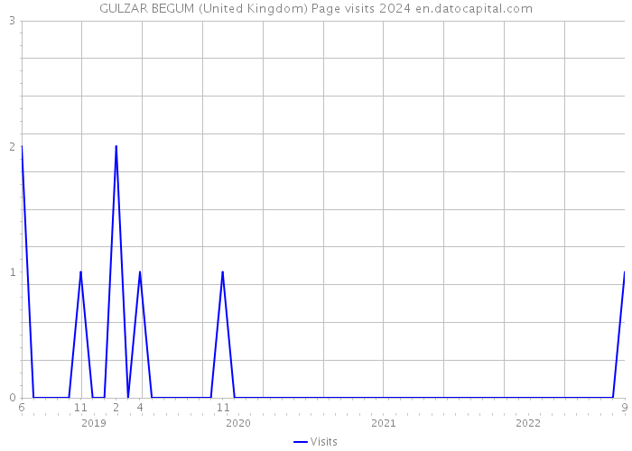 GULZAR BEGUM (United Kingdom) Page visits 2024 