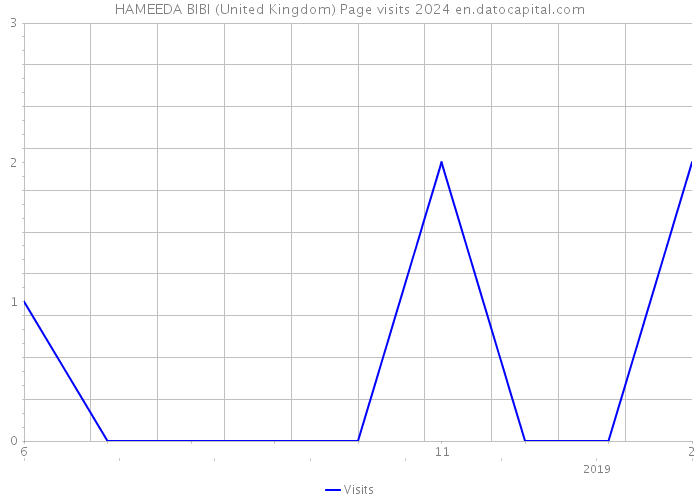 HAMEEDA BIBI (United Kingdom) Page visits 2024 