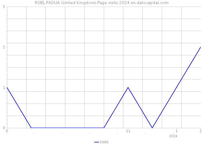 ROEL PADUA (United Kingdom) Page visits 2024 