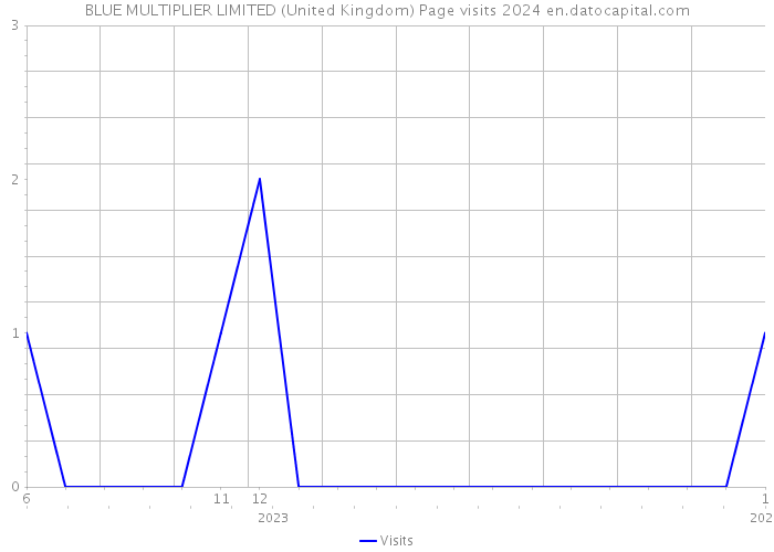 BLUE MULTIPLIER LIMITED (United Kingdom) Page visits 2024 