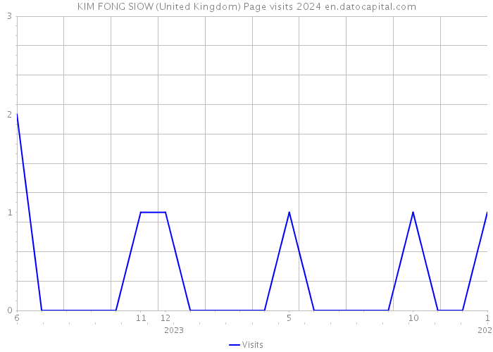 KIM FONG SIOW (United Kingdom) Page visits 2024 
