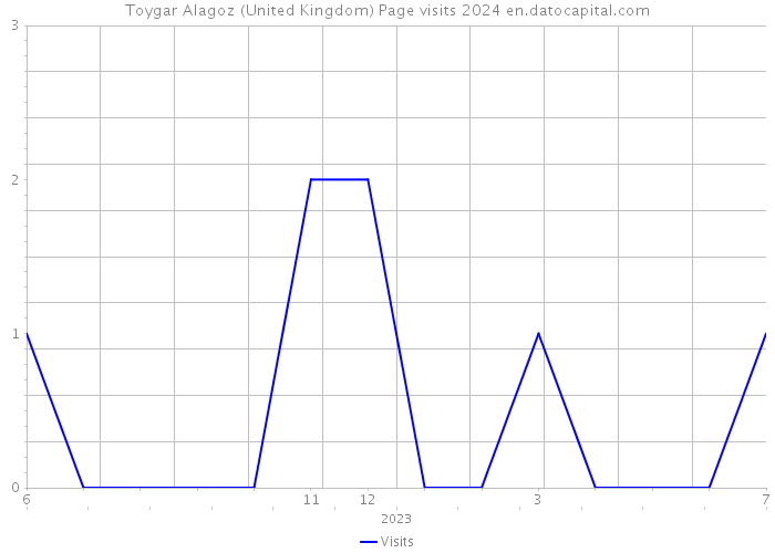 Toygar Alagoz (United Kingdom) Page visits 2024 