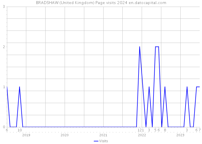 BRADSHAW (United Kingdom) Page visits 2024 