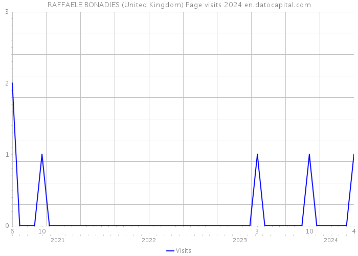 RAFFAELE BONADIES (United Kingdom) Page visits 2024 