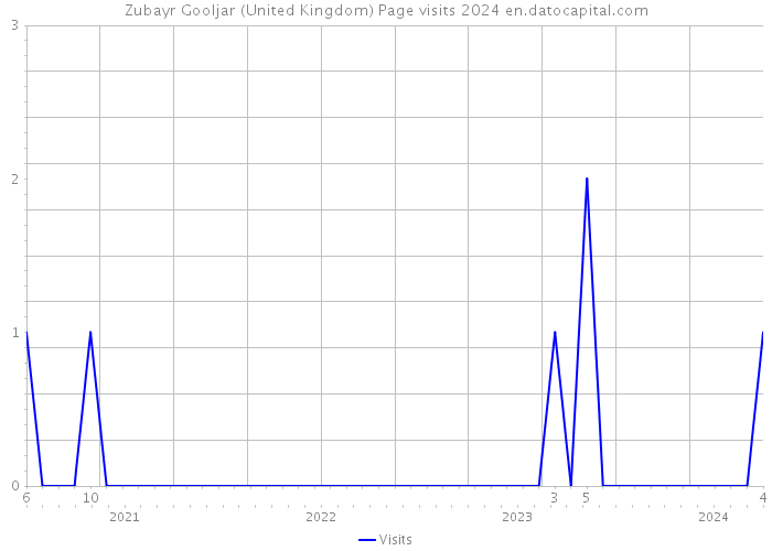 Zubayr Gooljar (United Kingdom) Page visits 2024 
