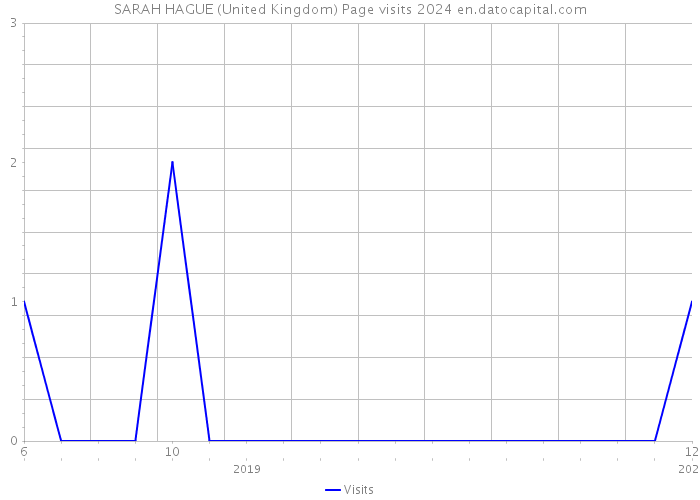 SARAH HAGUE (United Kingdom) Page visits 2024 