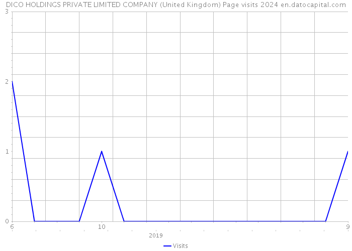 DICO HOLDINGS PRIVATE LIMITED COMPANY (United Kingdom) Page visits 2024 